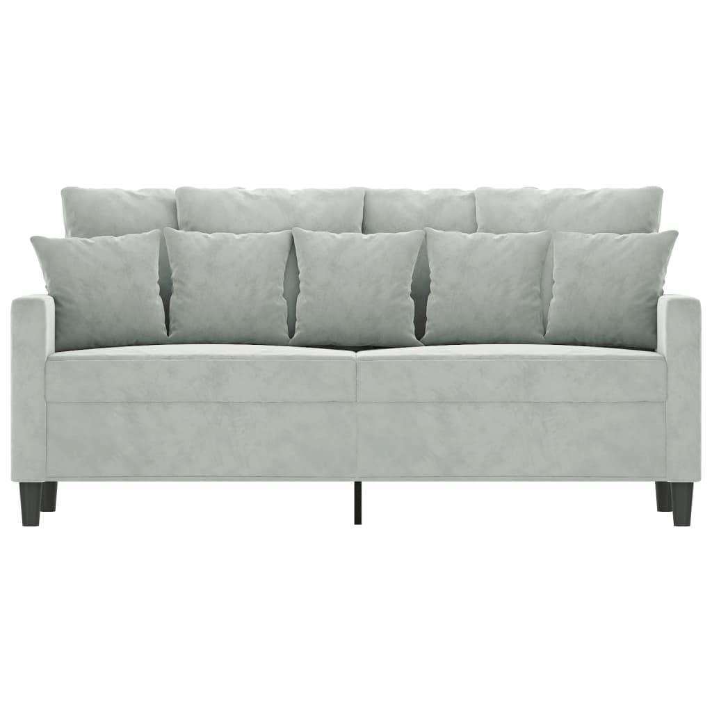 Light Grey Velvet 2-Seater Sofa with Metal Frame V5205