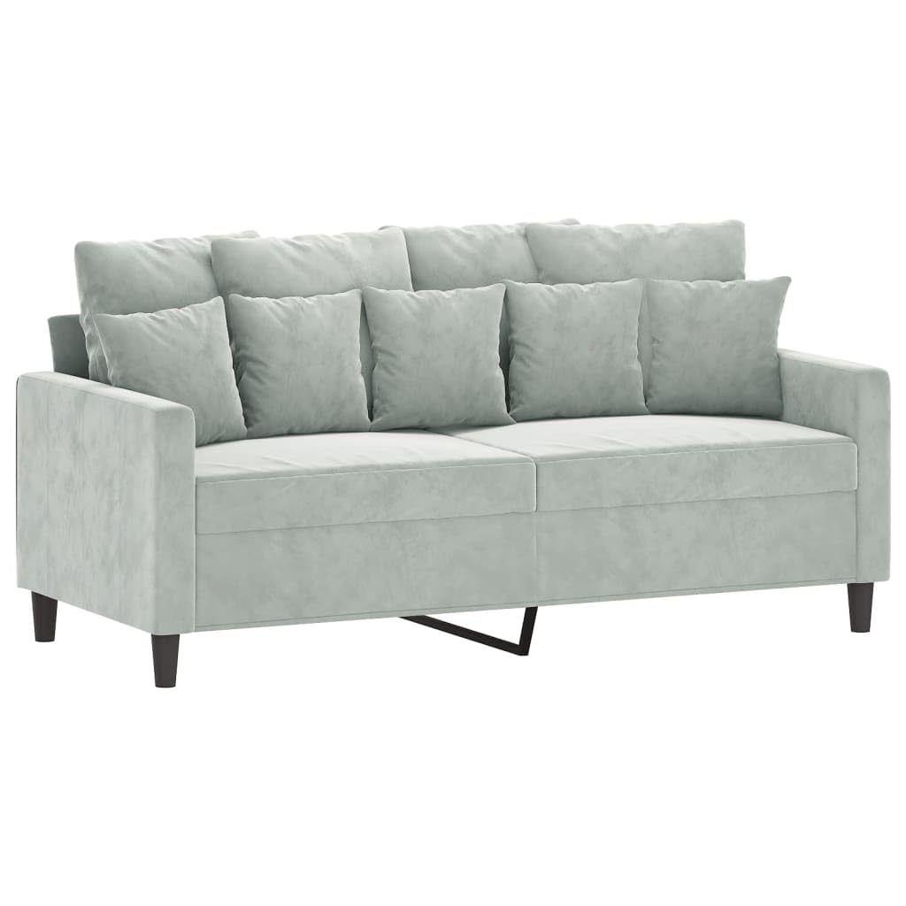 Light Grey Velvet 2-Seater Sofa with Metal Frame V5205