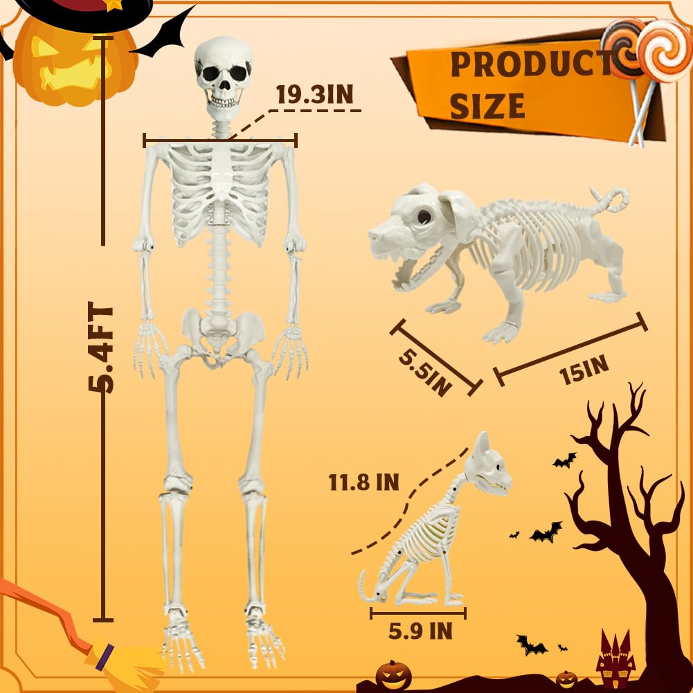 Full Size Skeleton with Dog Cat N84288
