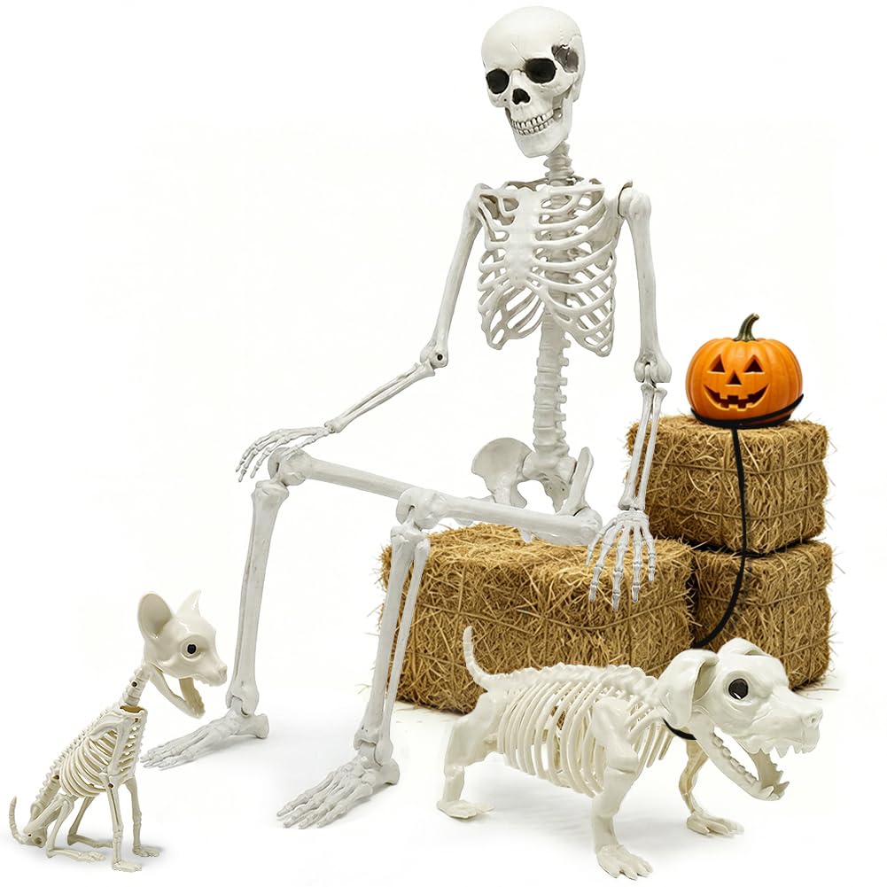 Full Size Skeleton with Dog Cat N84288