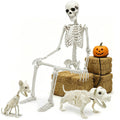 Full Size Skeleton with Dog Cat N84288