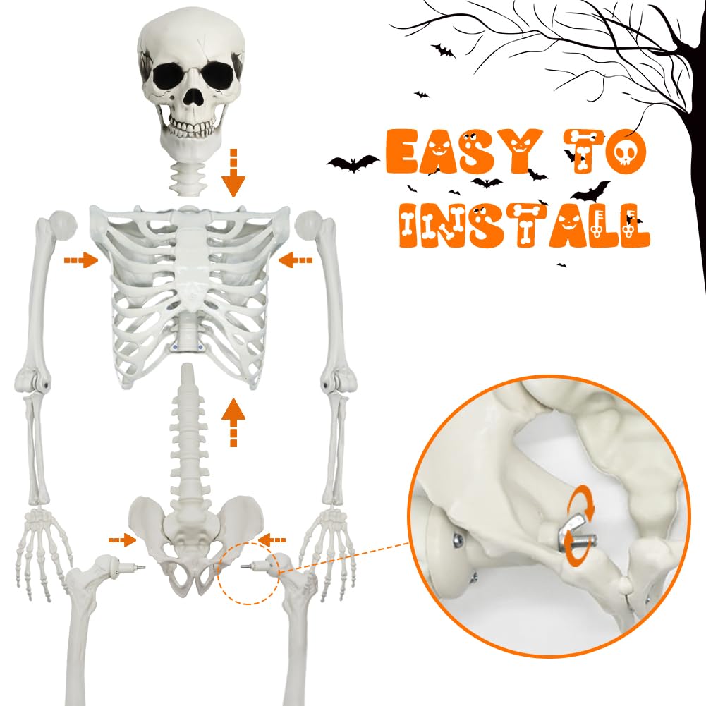 Full Size Skeleton with Dog Cat N84288