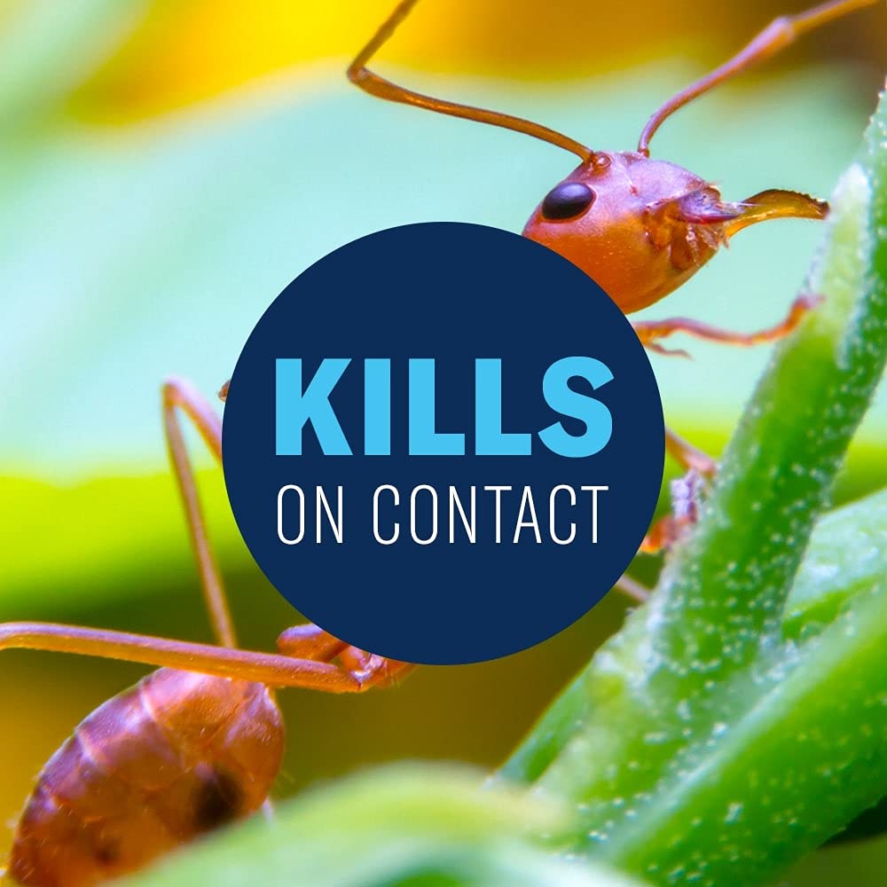 20 lb Granules Insect Killer S9059