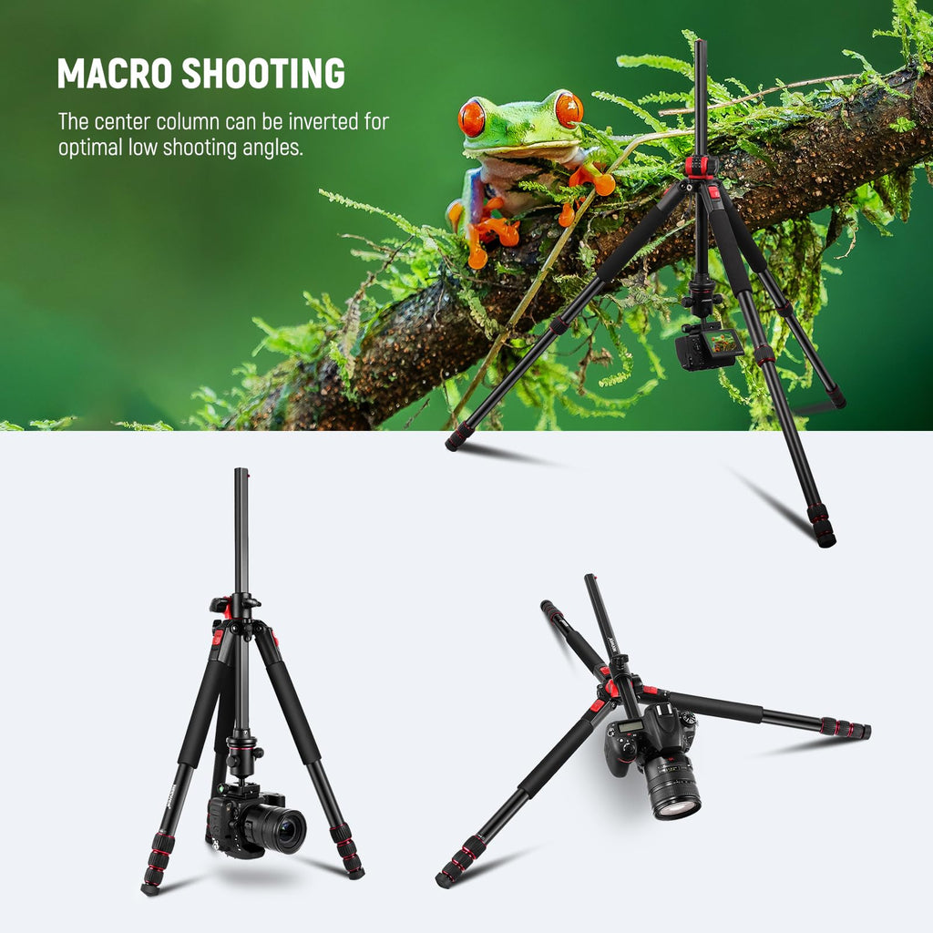 72 Inch Camera Tripod Monopod with Ball Head D752