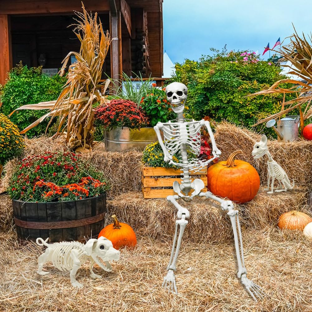 Full Size Skeleton with Dog Cat N84288