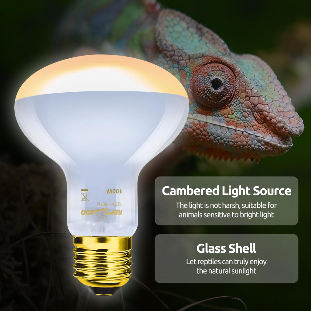 Reptile Heat Lamp Combo Pack with Dual Light Fixture T327