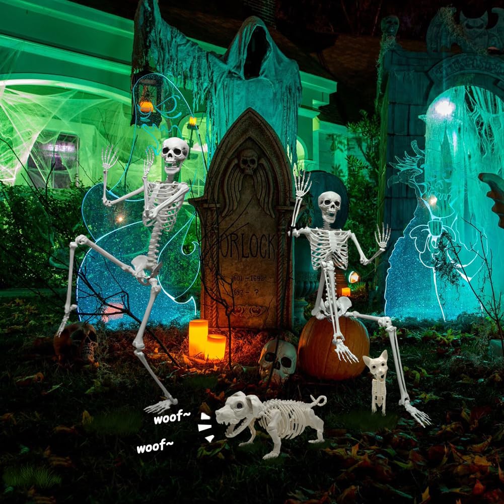 Full Size Skeleton with Dog Cat N84288