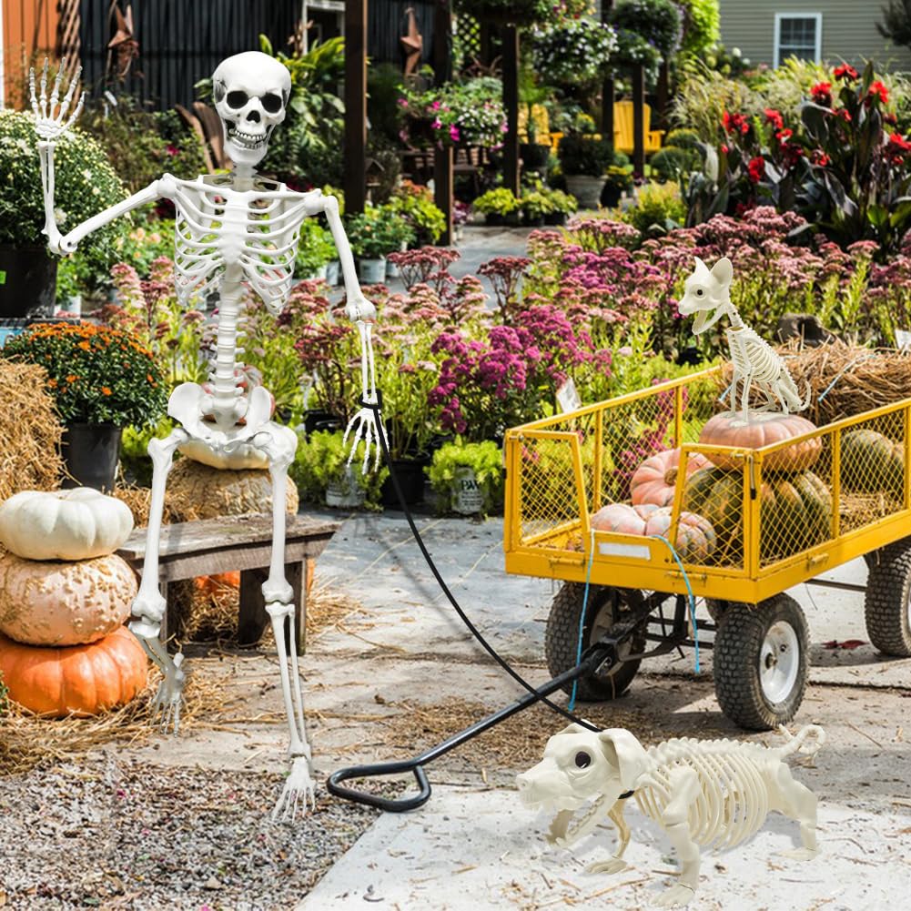 Full Size Skeleton with Dog Cat N84288
