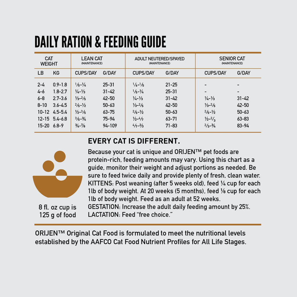 Grain Free Dry Cat Food 4lb Bag J509076