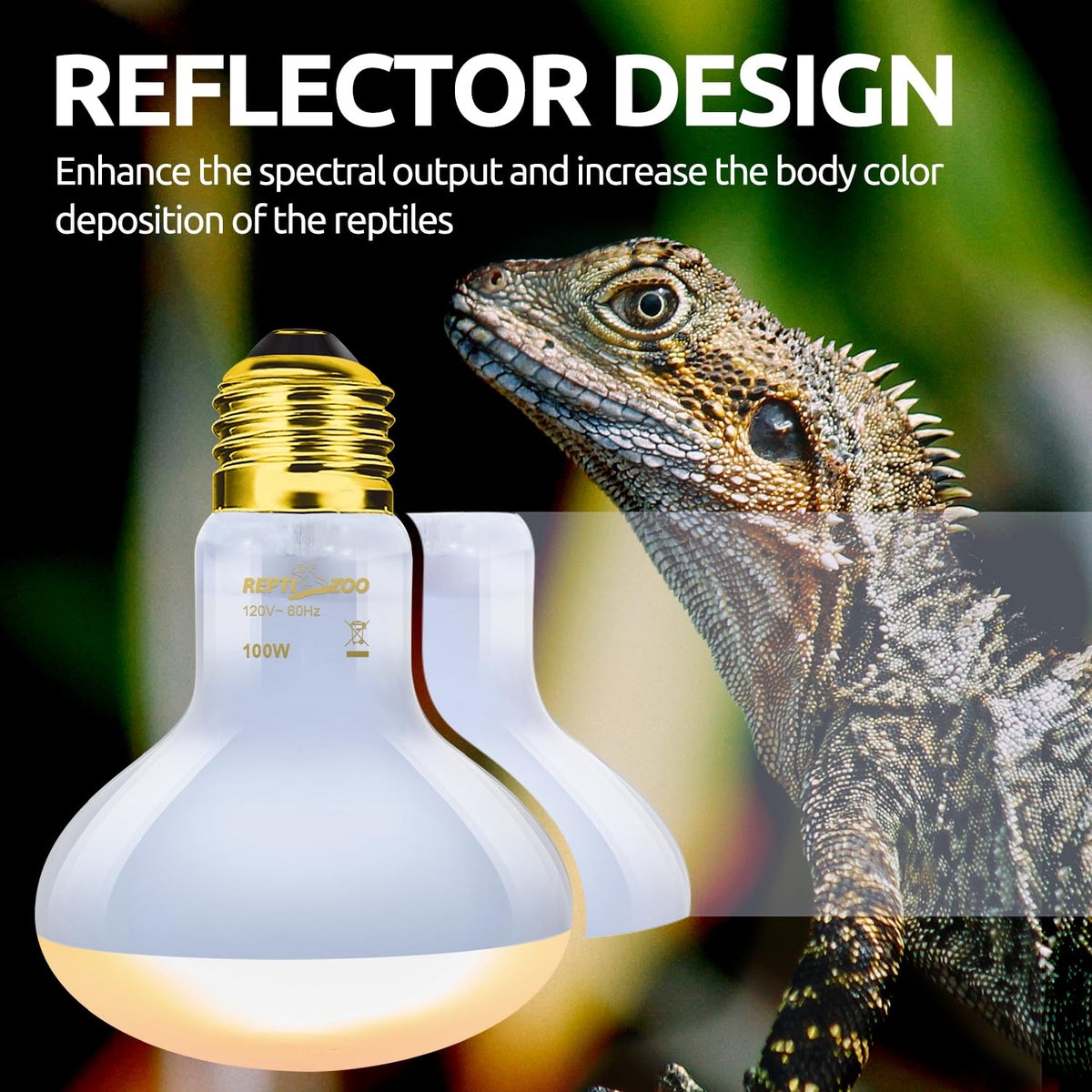 Reptile Heat Lamp Combo Pack with Dual Light Fixture T327