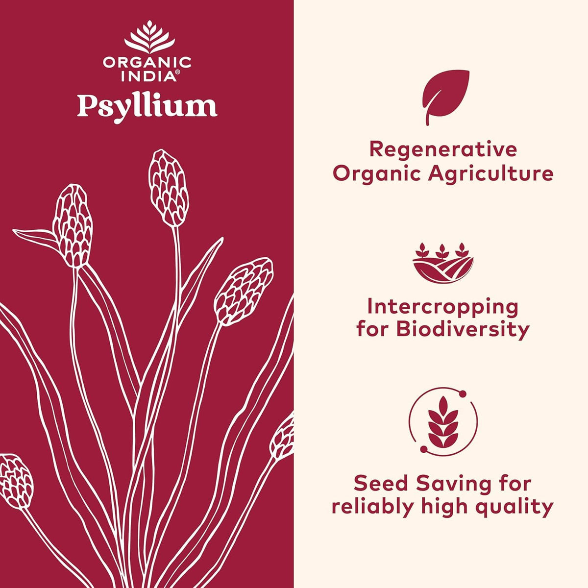 Whole Psyllium Husk Powder Organic Vegan 12 oz Z997249