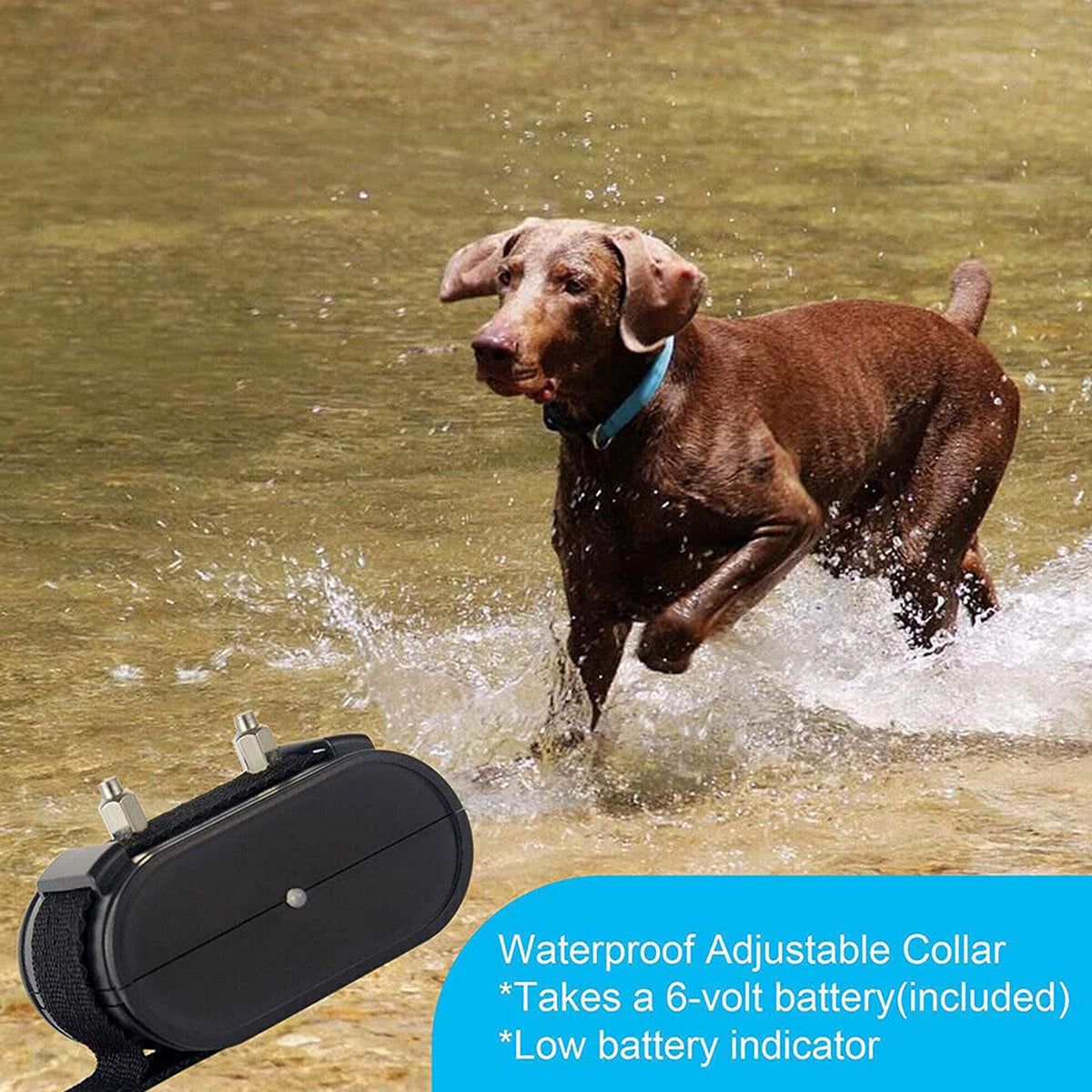 Electronic Dog Fence & Training Collar System, 1/2 Acre, Waterproof Q173