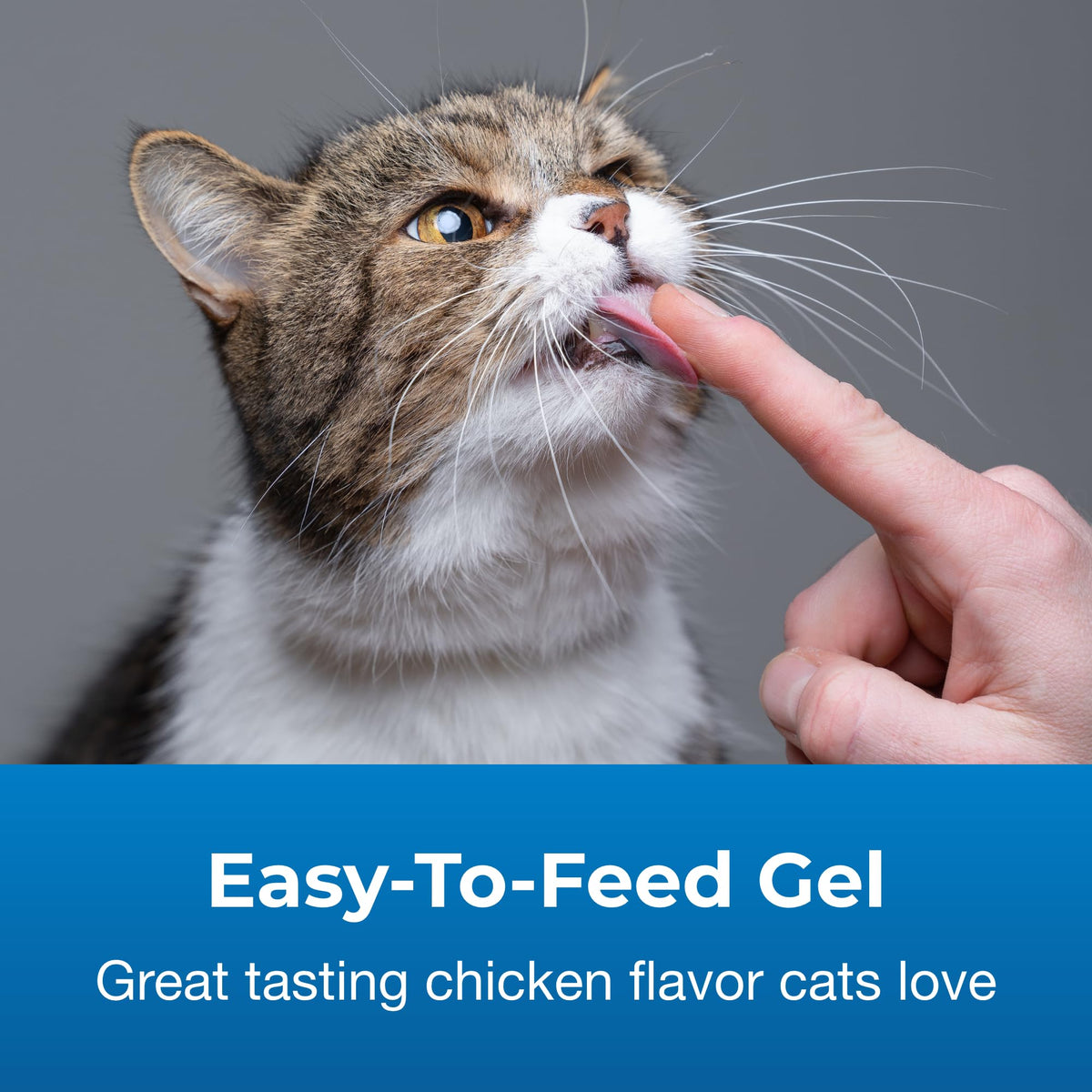 Urinary Tract Gel Supplement for Cats 3.5 oz P47599
