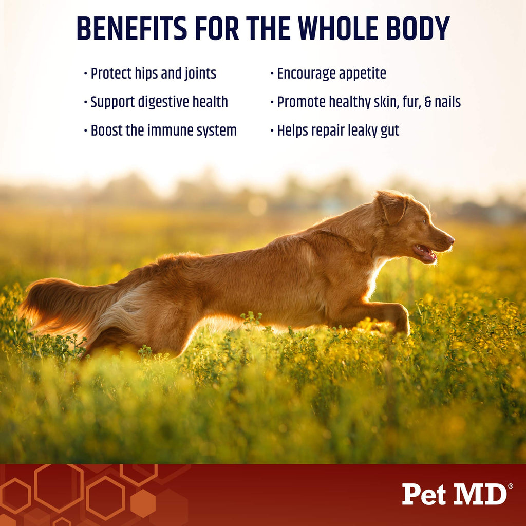 Bone Broth Powder Supplement & Pill Paste F80774