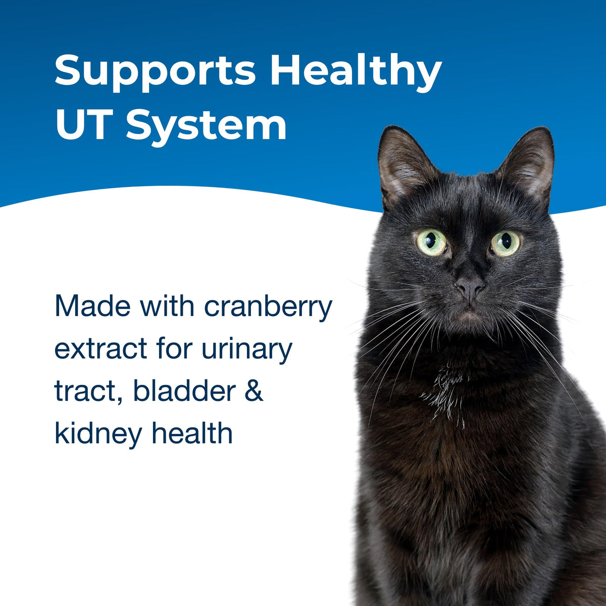 Urinary Tract Gel Supplement for Cats 3.5 oz P47599