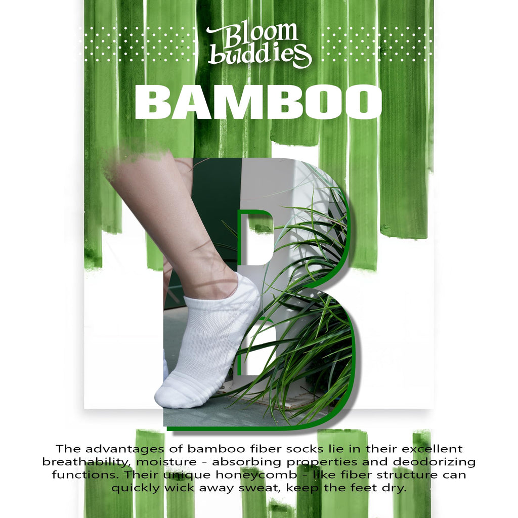 Viscose No Show Socks V1374
