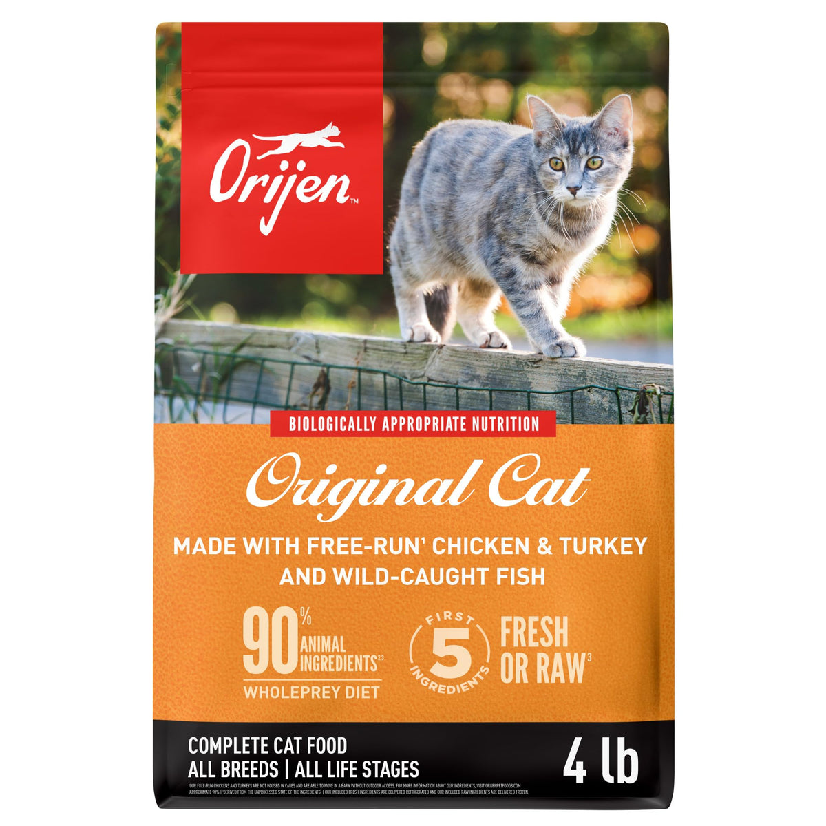 Grain Free Dry Cat Food 4lb Bag J509076