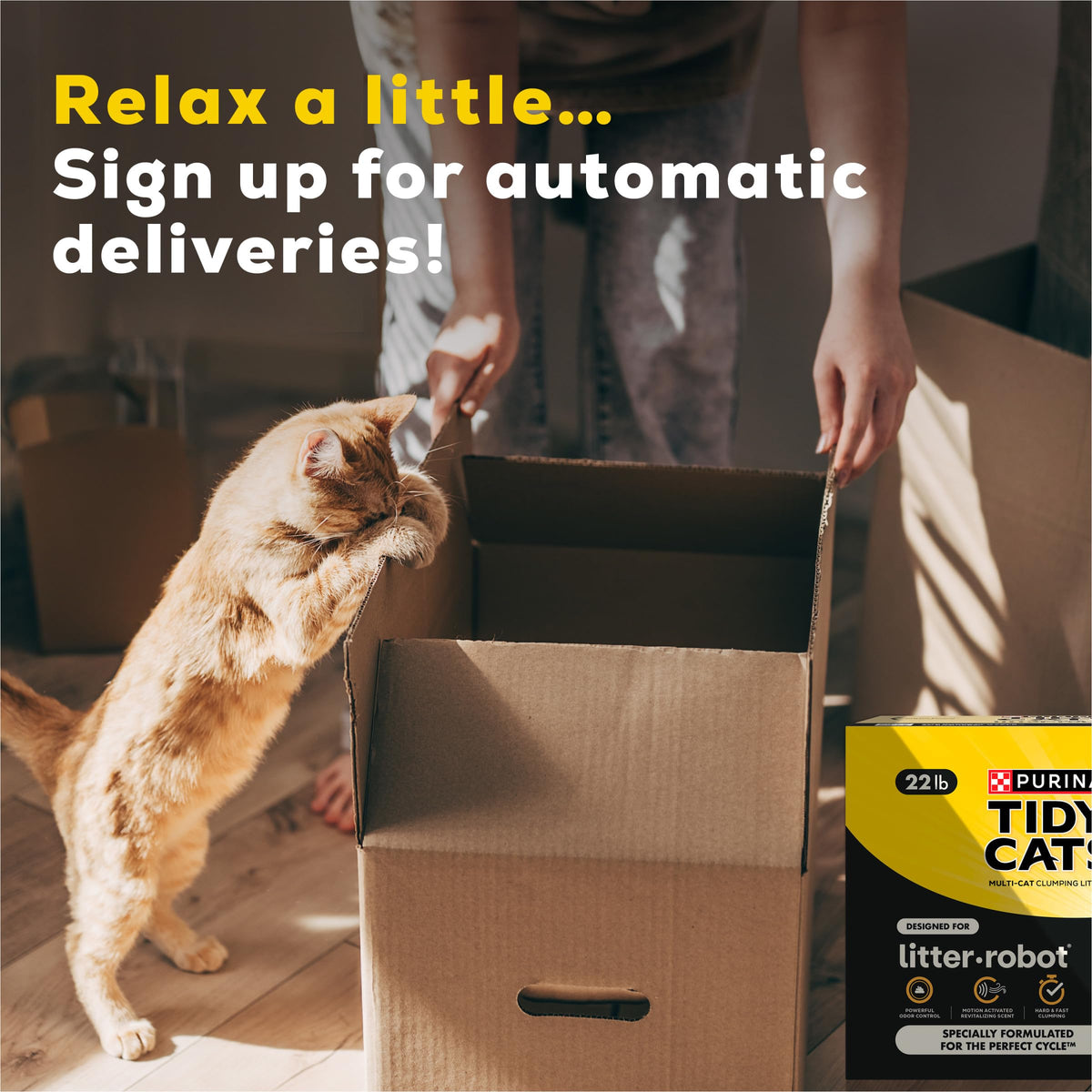 Cat Litter N8034