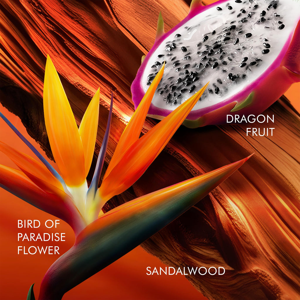 Floral Eau De Toilette with Dragon Fruit, Bird of Paradise & Sandalwood P88029