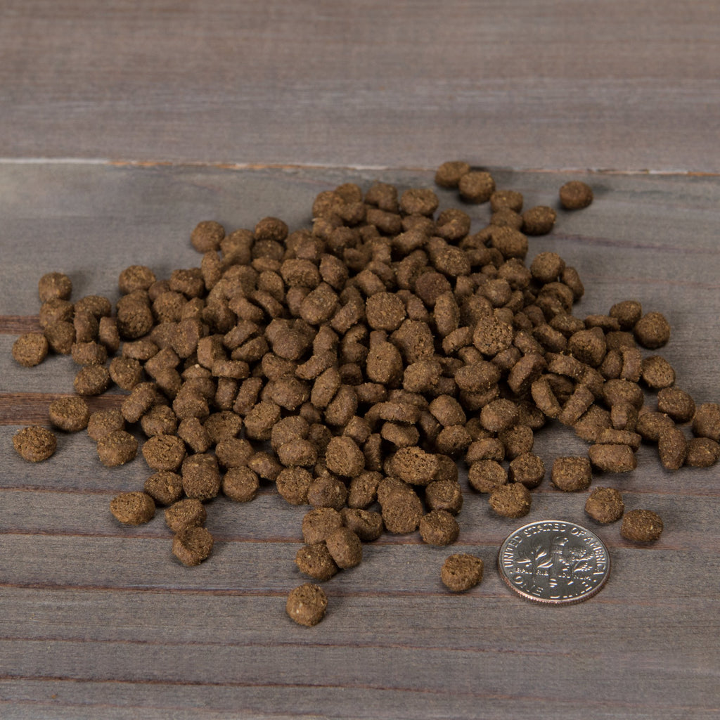 Grain Free Dry Cat Food With Probiotic Duck & Lentils Recipe 12Lb Bag T23410